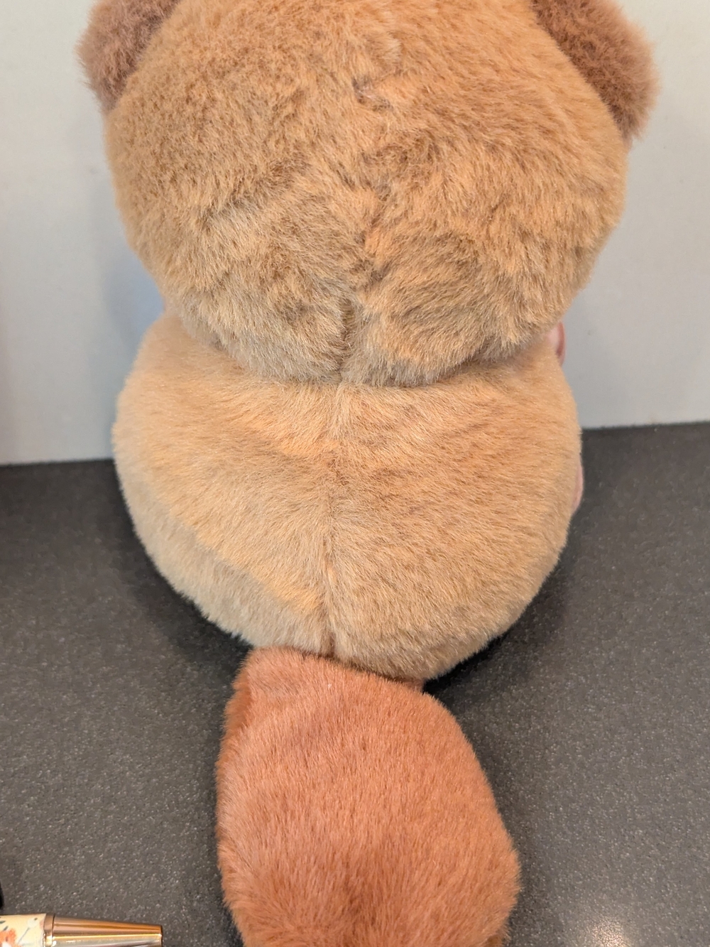 Orange Plush Cat In Beaver Costume With Notebook & More - Picture 5 of 5